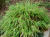 c2051be5512202bf974574db64c228c1.png