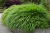 a3cfb092b06078616009a4c58f76b006.png