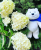e6d220fa2c7b4ed5f96ae788329686f8.png