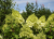 b2ffd2f970f7b20d7c0b11214d3d6dd4.png