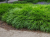 709cd88dffcf73ea12f65099ebe50928.png