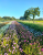 140446a6cea97014eaa676045f41adb7.png