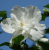 f5c2b4f790b92e632adc8735808af6aa.png