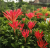 a7902e8b39186e6bc116d05696a2b77f.png
