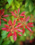 cbf63f675a0dbeb3e4a05ca90662f4b9.png