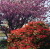 6723cf473440c91e9180dfe6138151da.png