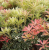 70e5fef588797bf50e4ec5f4578e5711.png