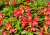 888a4dcc9d1d81f61df3ddcd6fe7ec48.png