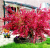 b927e60feb30772efc7c7c7c7088f9ea.png