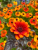 3b0879ccf3b810b0251b5d429e3a8445.png