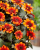 7c41bd398e8a0ad7ac605dbb8c1eb722.png