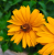 9358f5981b18a986de60f7058d5a22cb.png
