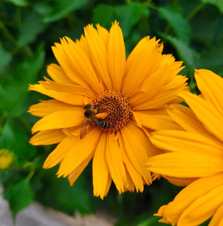 9358f5981b18a986de60f7058d5a22cb.png