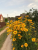 253f1ddc4445688914158868104b0e1c.png