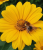 7a13fe2f50f9ea1d7941c60c79236ef0.png