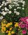 19ff285f0d9fdcc0e76c46da3c98c6e5.png