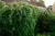 d8e09407dd9bd6d0eedb19c52a6a4e9a.jpg