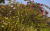 4ccda988a8fcb3858c4737f9400d7c0f.png