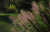 24866b984f44b22979cfc39b6aff2259.png