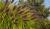 fcd5bca76bf71ac9bc812d59ea7cf716.png