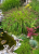 7b99a9c8060b8332efe8bf3eb0d22a7e.png