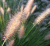 976dc118abe5f9e064980f3595a7341f.png