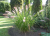 7ab767bf6a624756c79f556b94be2139.png
