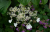 6f9990effd75a1206f99bbbe66b07d5c.png