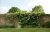 52b99bfd738795097a0982de6fd3f408.png
