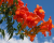 a23fab0155cf243307e5d64a78119d0f.png