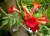 c7c285ef58d146d715fa3b01cef2b61c.png