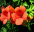 22ed8df702de49f240eaabaf39cabc5a.png
