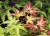99609792e002fd8b92c6e4359a0797d7.png
