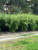 a8562e393213813056e6ae550bfded7b.png