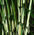 f8a0c64f2ba1e0fc06f4a7bec49f4247.png