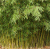 5651dfb98461176456f318765216de7c.png