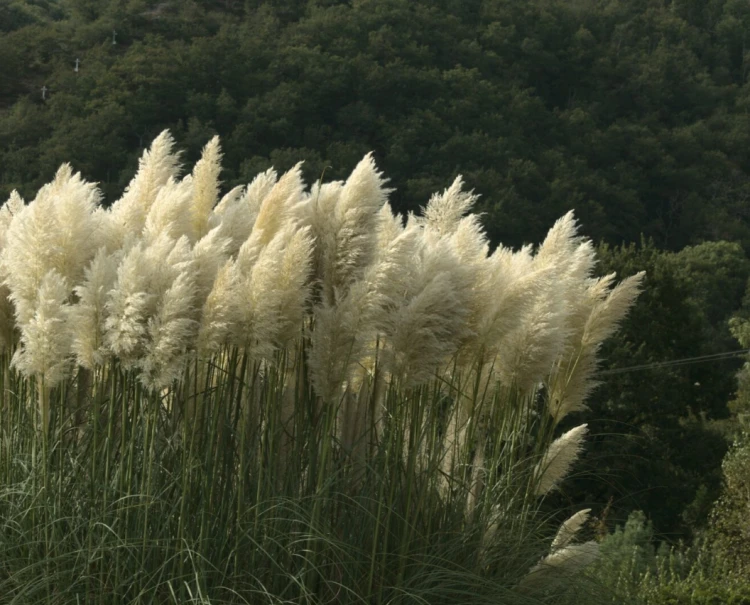 e405013e257b1134eecf881719ebea29.png