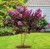 b914e0ecca2e8b3f5a1a63a845cc5e85.jpg