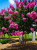 fe2404d7593e287a3697267290738ef1.png