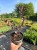 aef61aaee32a11a7310516ffefca40ba.jpg