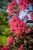 1459fce64fc2617b70509d843555528f.png