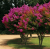 5c1e38cd5cc50c145b4dd22789f05433.png