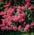 18f30f9e652667aebce8a81b1aebd174.png