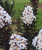 b6008e543b87a8a03f97c5697cd00b11.png