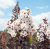 47da828698c061469afd05bbb6b7a8f4.png