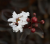 d25fca540b17da5687184362e9cafd4d.png