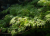 9d428fa9aa3928515d756ca76974bcf7.png