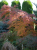 8860cfeed4fbc2dfb3b146fa86cd4507.png