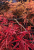 cc5040755ab8e6b9572a78f531e54ca0.png