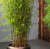 cf508fc679b80c618b6f29be6954a66a.png